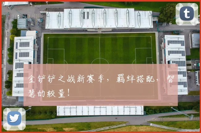 金铲铲之战新赛季,羁绊搭配,智慧的较量!